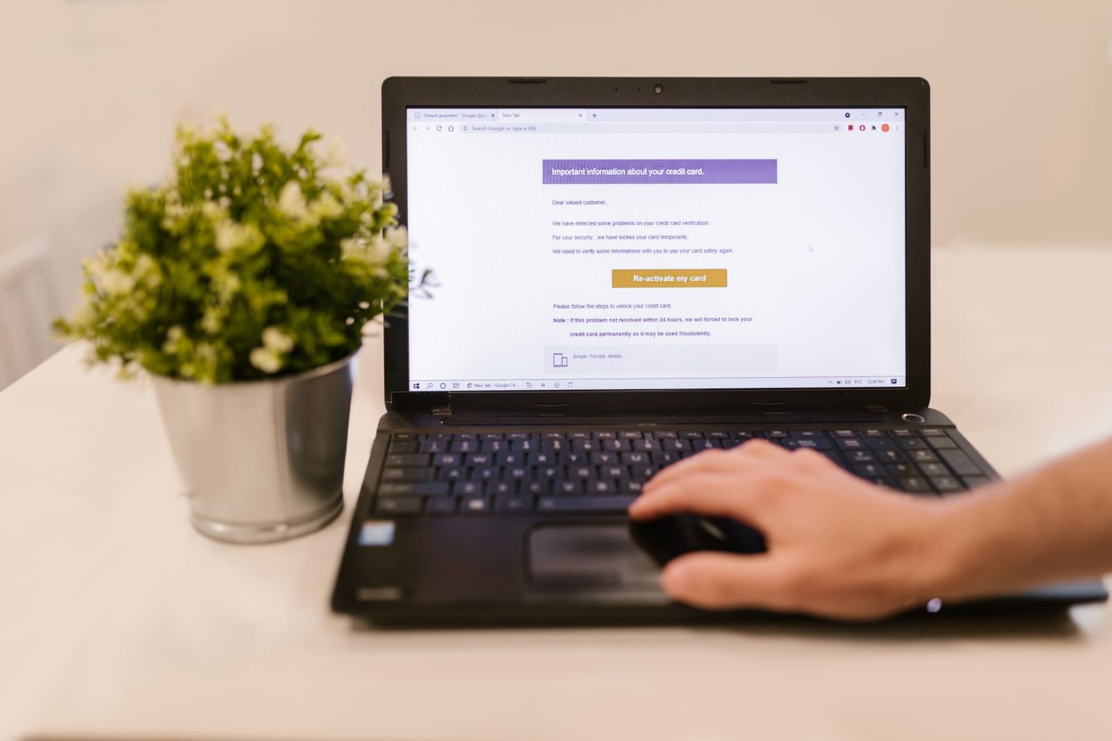 A person reads an email on a laptop indoors beside a potted plant
