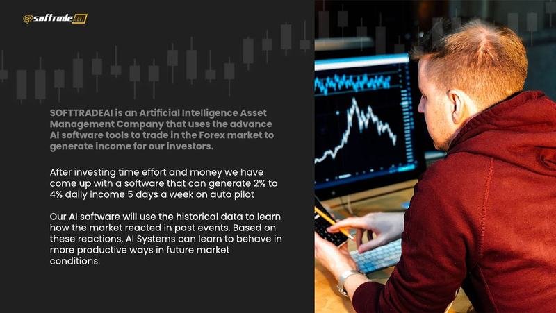 SoftradeAI, referral plan, page 2